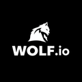 Wolf.io Casino logo